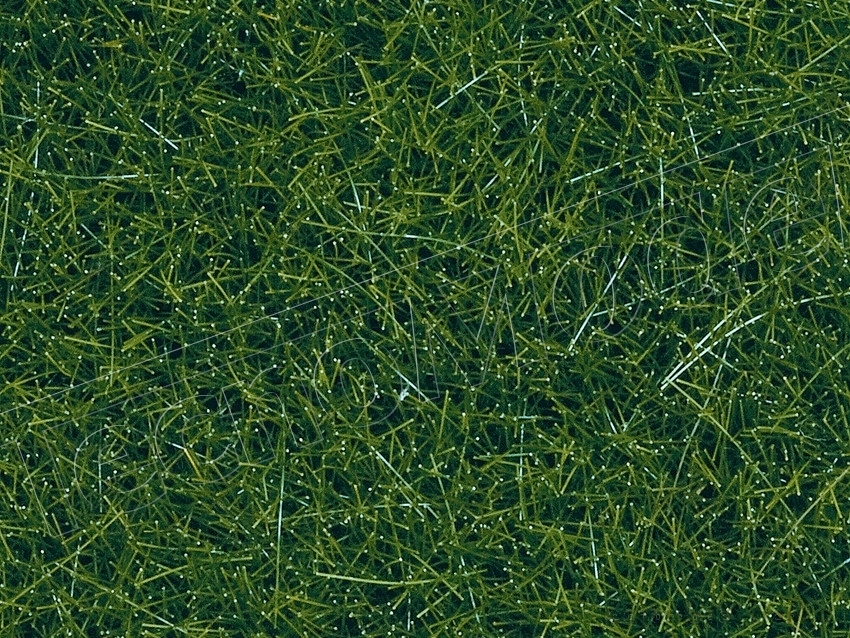 NOCH 07073 50 g Erba mista da pascolo verde mischiato da 2,5 a 6 mm
