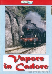ETR Editrice DVD001 Vapore in Cadore - Immagini spettacolari realizzate nel 1993 e 1994, protagonista la Gr.740 293