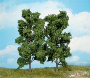 Heki 1912 Alberi di Faggio, 2 pz. 18 cm