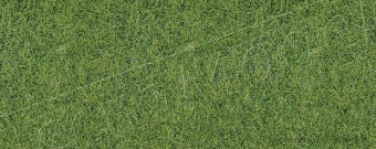 Heki 1870 Tappeto erboso verde chiaro di montagna, 2 pz. 40 x 25 cm