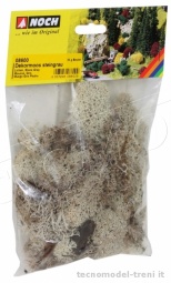 Noch 08600 Lichene grigio, 35 g