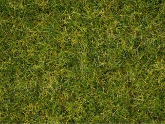 Noch 07072 Manto erboso verde mischiato estivo, da 2,5 a 6 mm, 50 g