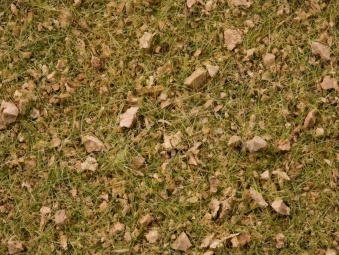 Noch 07075 Manto erboso verde chiaro alpino, da 2,5 a 6 mm, 50 g