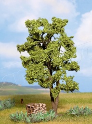 Noch 21660 Albero Acacia