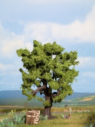 Noch 21760 Albero Quercia