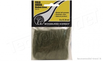 Woodland Scenics FG174 Field Grass Medium Green