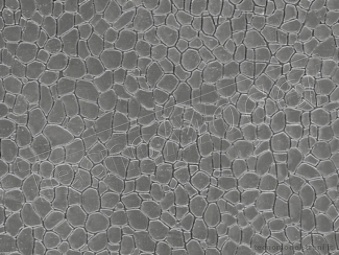 Auhagen 52427 Muro/pavimento in pietre ad opera incerta 200 x 100 mm