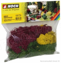 Noch 08620 Lichene colori autunnali, 75 g