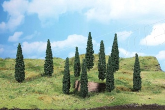 Heki 1191 Alberi Cipressi, 5 pz. 12-14 cm