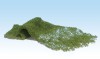 Ingrandisci