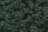 Ingrandisci