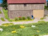 Ingrandisci