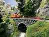 Ingrandisci