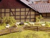 Ingrandisci