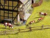 Ingrandisci