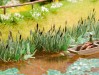 Ingrandisci