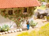 Ingrandisci