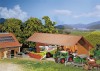Ingrandisci