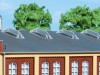 Ingrandisci