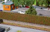 Ingrandisci