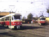 Ingrandisci